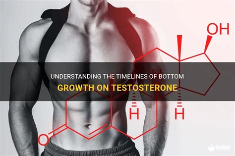 Understanding The Timelines Of Bottom Growth On Testosterone